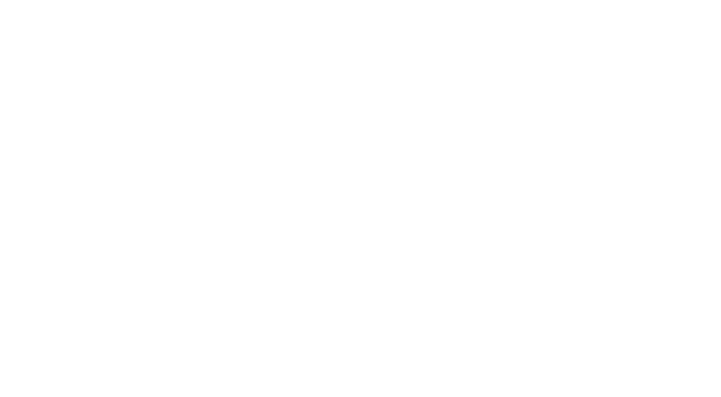 Baliet Consulting Logo in weiß
